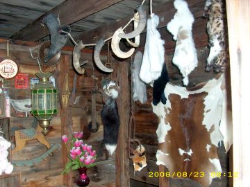 shop.jpg